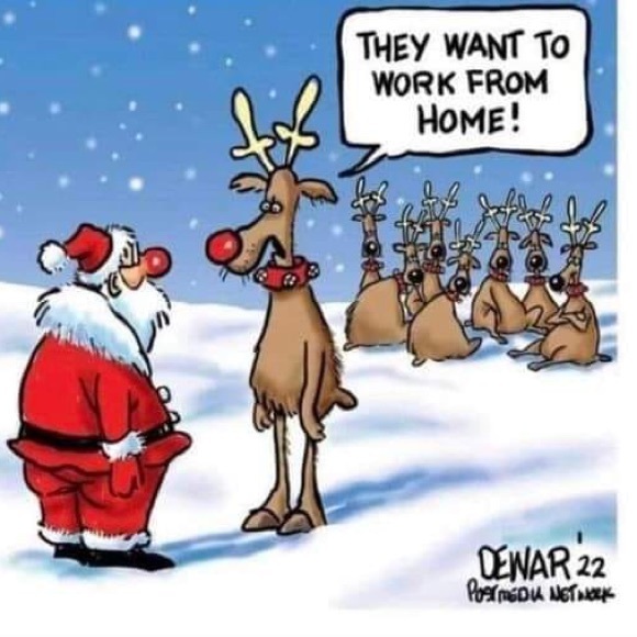 🤗Welcome to our Auction Price Btq👩🏻⚖️ - Picture 10 of 10